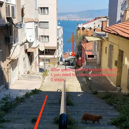 2min To Historic Elevator Detached House *
