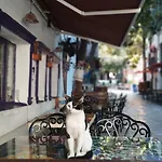 2min To Historic Elevator Detached House Villa İzmir