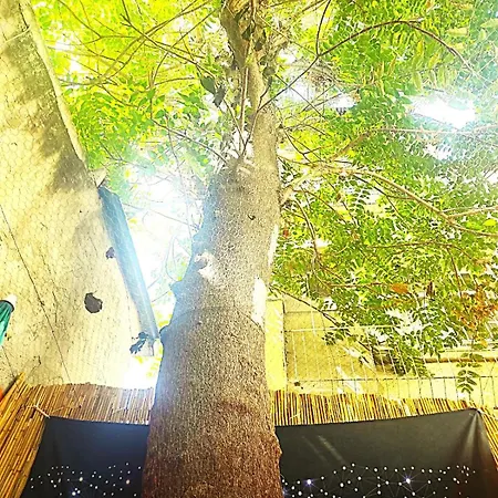 2min To Historic Elevator Detached House Villa